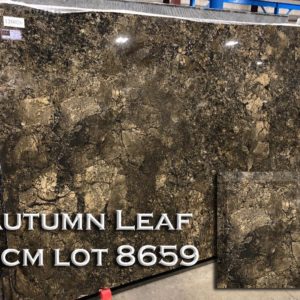 Granite Autumn Leaf (3CM Lot 8659) Countertop Sample