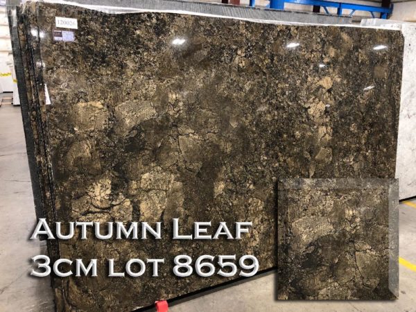 Granite Autumn Leaf (3CM Lot 8659) Countertop Sample