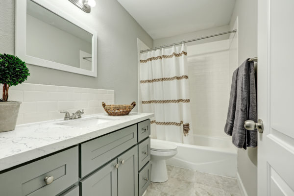 Bathroom With Natural Avenza Honed Countertop
