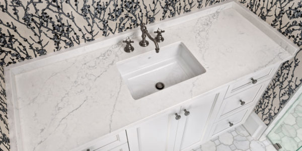 Sink With Masterpiece Muse Countertop