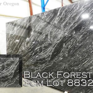 Granite Black Forest (3CM Lot 8832) Countertop Sample