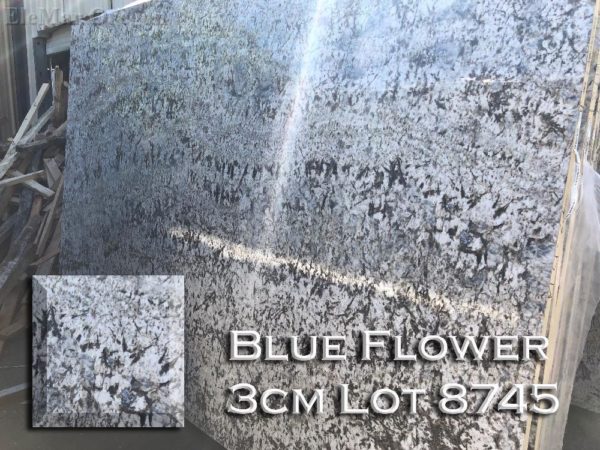 Granite Blue Flower (3CM Lot 8745) Countertop Sample