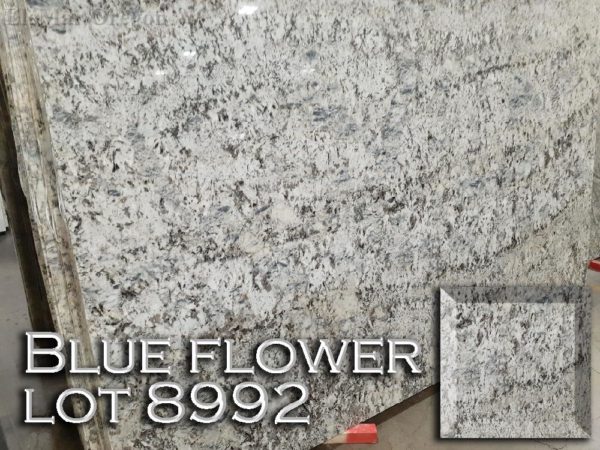 Granite Blue Flower (3CM Lot 8992) Countertop Sample